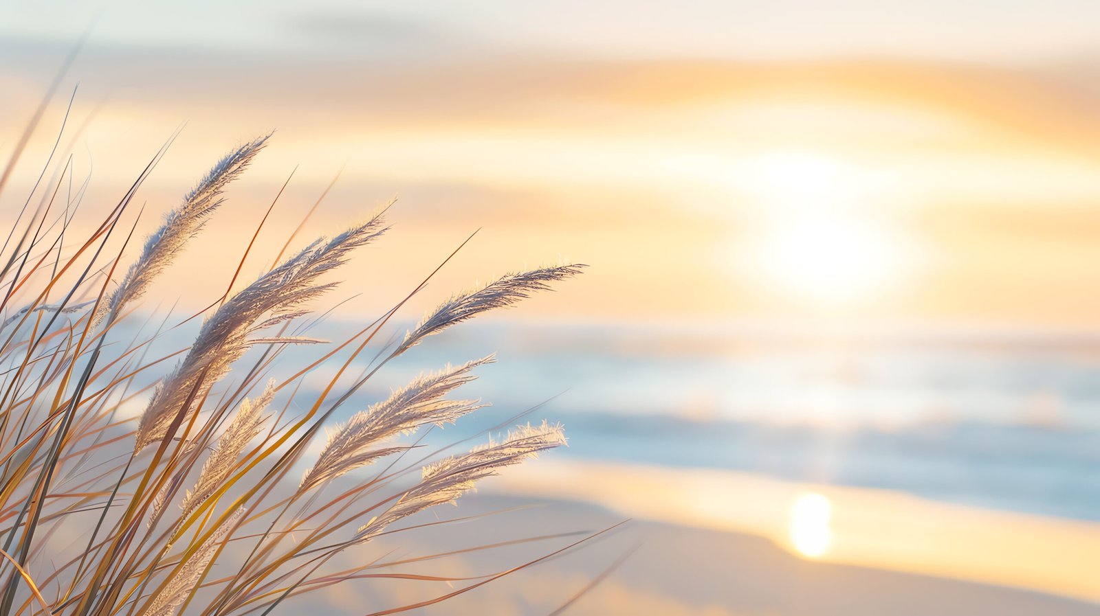 Atardecer junto al mar